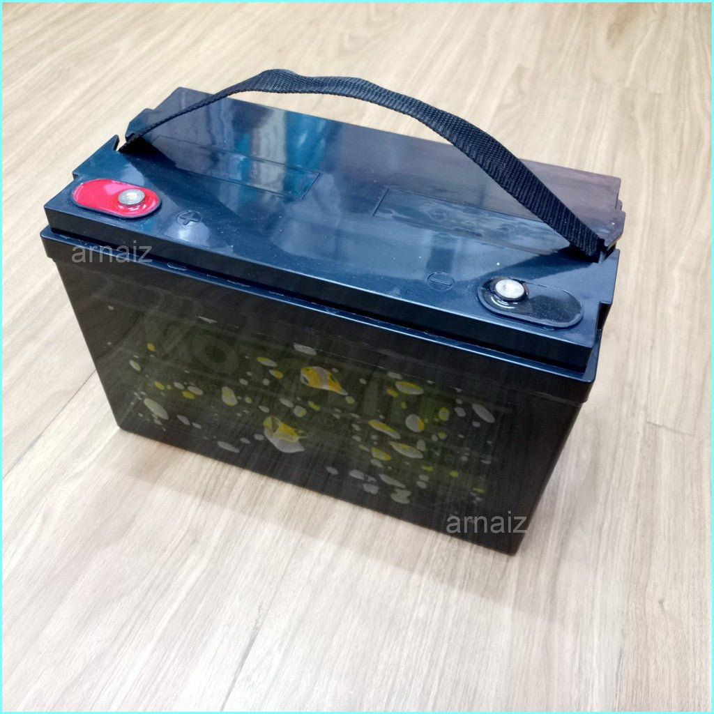 Motolite OM100-12 Rechargeable 12V 100AH Valve Regulated Lead Acid (VRLA) Deep Cycle Battery