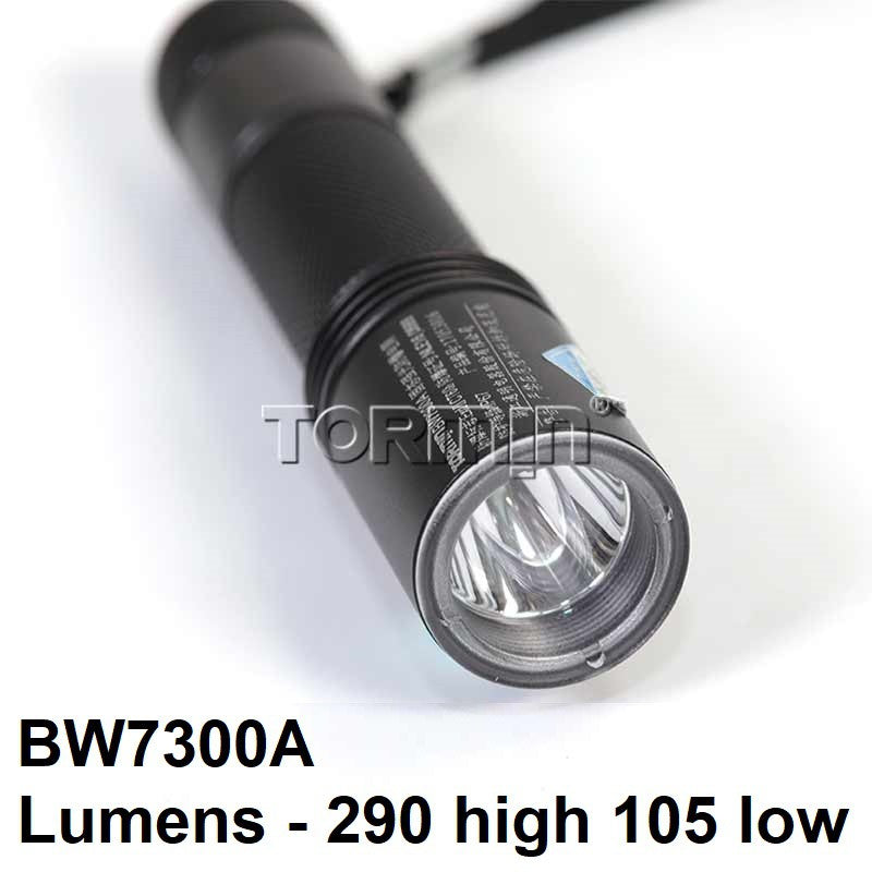 Tormin LED Explosion proof Flashlight Weather proof Rechargeable Flash Light BW7300 LED Torch Light