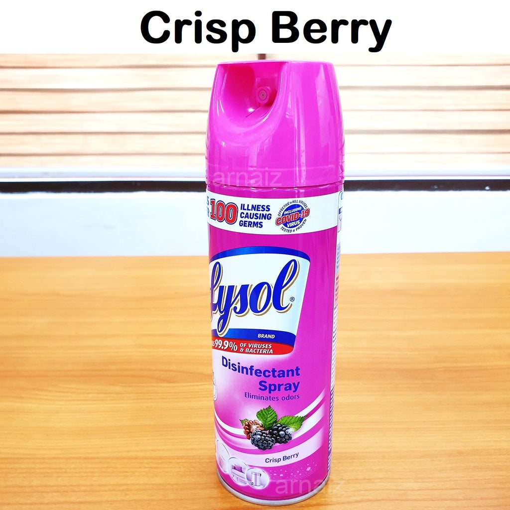 Lysol Spray Lysol Air Spray Lysol Disinfectant Spray 170g 170GM 340g 340GM 510g 510GM