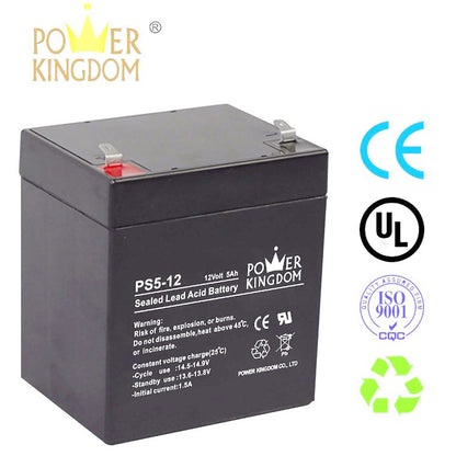 Power Kingdom 12V 5Ah 20hr Battery 12 Volts 5 Ampere UPS replaces 12V 4.5Ah 4.5A Battery