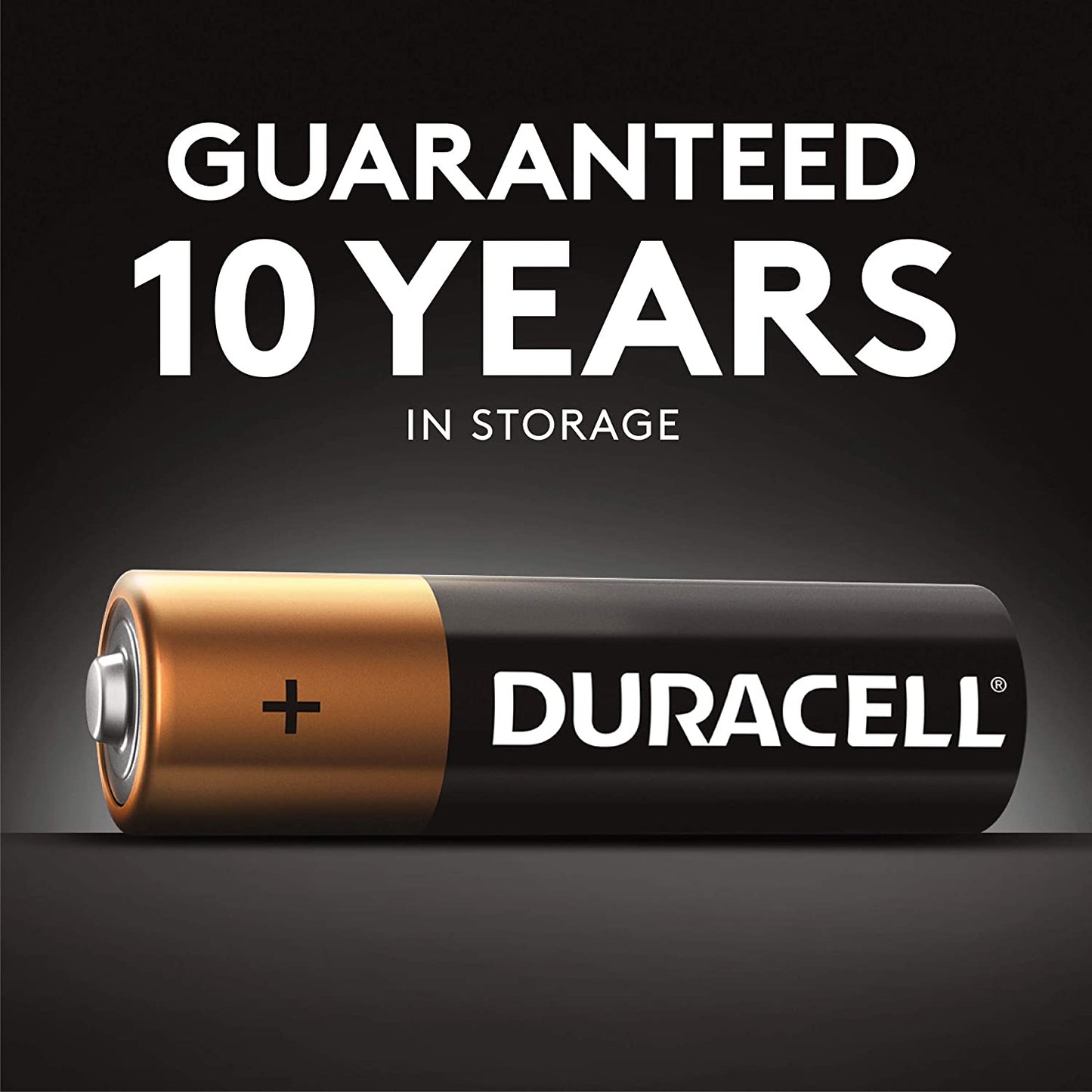 Duracell AA Alkaline (4pcs) Battery