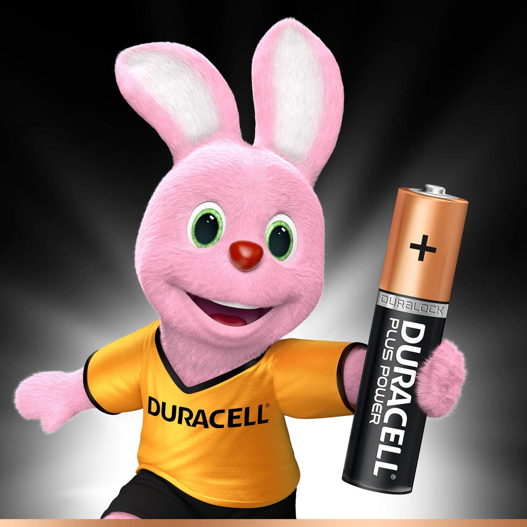 Duracell AA Alkaline (4pcs) Battery