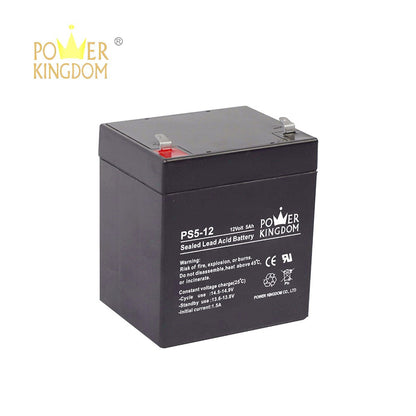 Power Kingdom 12V 5Ah 20hr Battery 12 Volts 5 Ampere UPS replaces 12V 4.5Ah 4.5A Battery