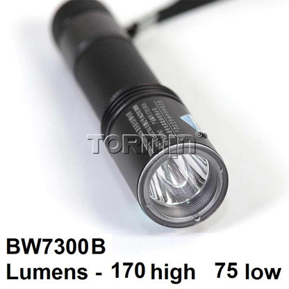 Tormin LED Explosion proof Flashlight Weather proof Rechargeable Flash Light BW7300 LED Torch Light