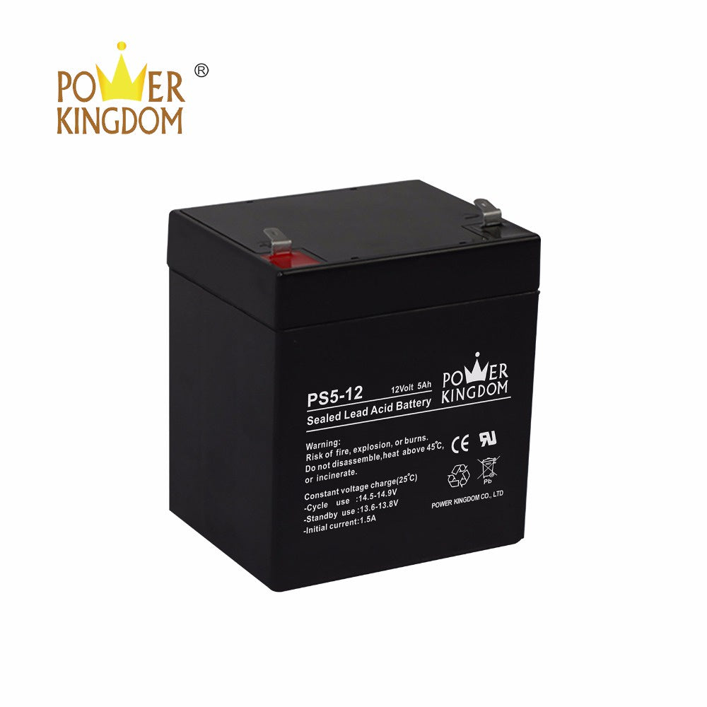 12V 5Ah 20hr Battery 12 Volts 5 Ampere UPS Speaker Power King Batteries replaces 12V 4Ah 4A Battery