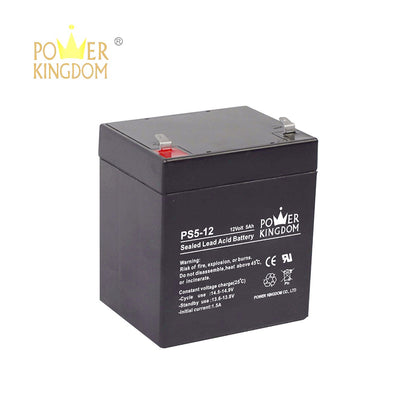 12V 5Ah 20hr Battery 12 Volts 5 Ampere UPS Speaker Power King Batteries replaces 12V 4Ah 4A Battery