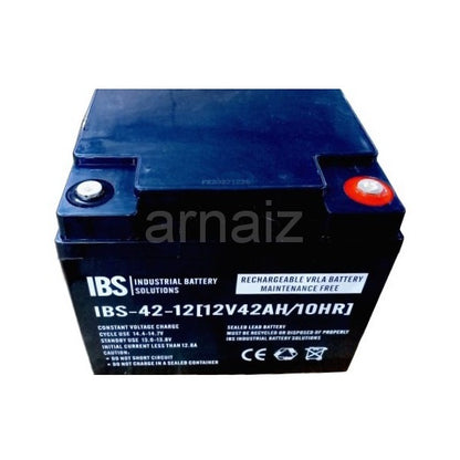 IBS 12V 42Ah SLA VRLA Rechargeable Battery IBS-42-12 10Hr Valve Regulated Sealed Lead-Acid Battery